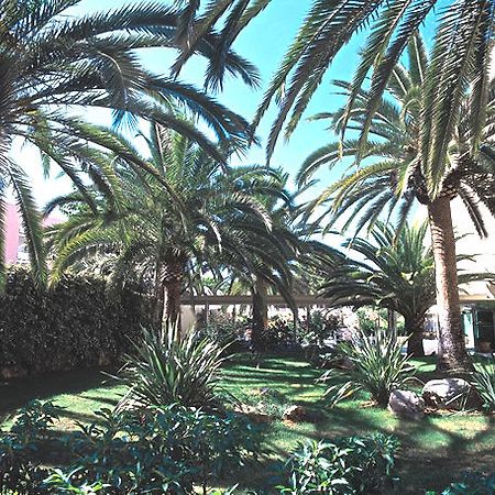 Hotel Palmira Isabela Santa Ponsa Εξωτερικό φωτογραφία