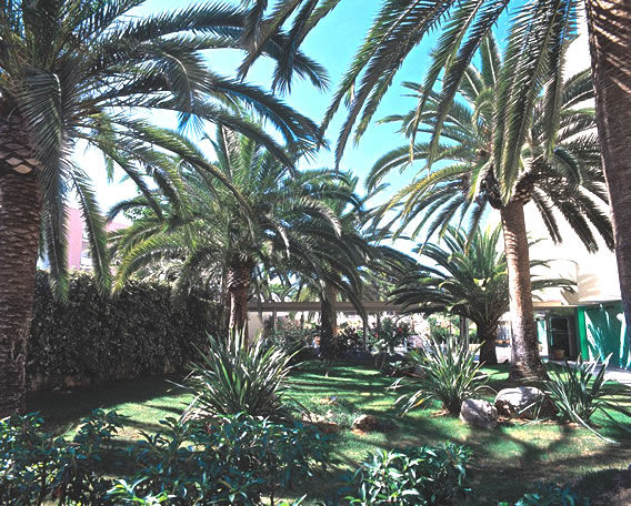 Hotel Palmira Isabela Santa Ponsa Εξωτερικό φωτογραφία